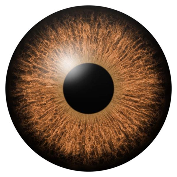 icon-image