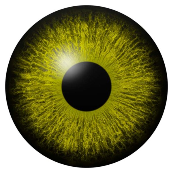 icon-image